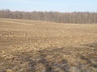 Amor - Juday, LaPorte County
